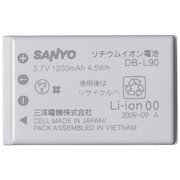 Sanyo DB-L90 фото