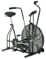 Schwinn Airdyne® фото