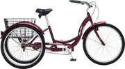 Schwinn Meridian (2019) фото