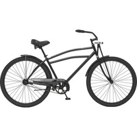 Schwinn Swindler (2018)