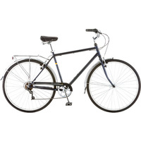 Schwinn Wayfarer (2018)