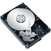 Seagate Barracuda 7200.10 SATA ST3250820AS 250 GB фото