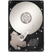 Seagate Barracuda ES ST3250620NS 250 GB фото