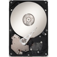 Seagate Barracuda ES ST3250620NS 250 GB