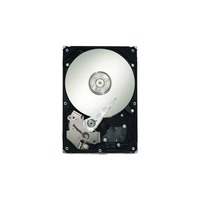 Seagate Barracuda ES ST3320620NS 320 GB