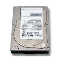 Seagate Cheetah 10K.6 ST373307FCV 73GB