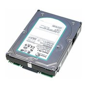 Seagate Cheetah 10K.7 ST373207FCV 73.4 GB фото