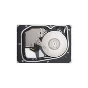 Seagate Cheetah NS ST3300955FC 300 GB фото