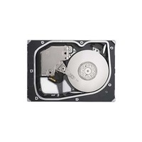 Seagate Cheetah NS ST3300955FC 300 GB