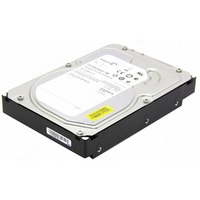 Seagate Constellation ES ST1000NM0001 1 TB