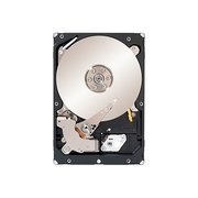 Seagate Constellation ES.2 ST32000645NS 2 TB фото