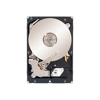 Seagate Constellation ES.2 ST32000645NS 2 TB