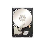 Seagate Constellation ES.2 ST33000650NS 3 TB фото