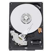 Seagate Constellation ES.2 ST33000650SS 3 TB фото