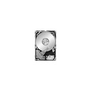 Seagate Constellation.2 ST9500620SS 500 GB фото