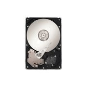 Seagate DB35.2 ST3160212SCE 160 GB фото