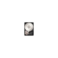 Seagate DB35.3 ST3160215ACE 160 GB