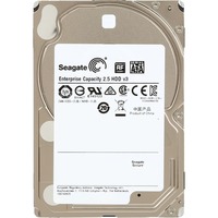 Seagate Enterprise Capacity ST1000NX0313 1TB