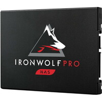 Seagate IronWolf Pro 125 ZA960NX1A001