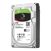 Seagate IronWolf Pro ST6000NE0021 6TB фото