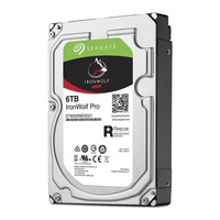 Seagate IronWolf Pro ST6000NE0021 6TB