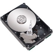 Seagate NL35 Series ST3250624NS 250 GB фото