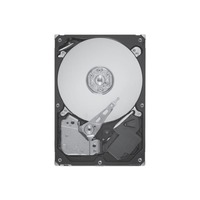 Seagate Savvio 10K.5 ST9300505SS 300 GB