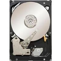 Seagate ST1000NM0011