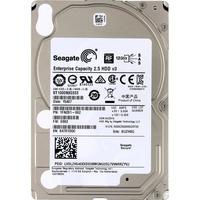 Seagate ST1000NX0333