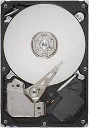 Seagate ST250DM000 фото