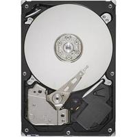 Seagate ST250DM000