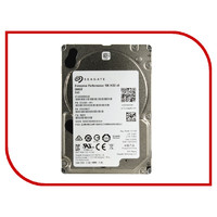 Seagate ST300MM0048