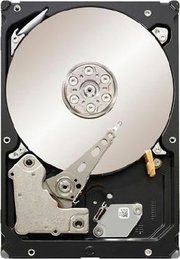 Seagate ST31000424SS фото