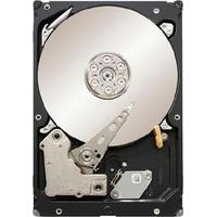 Seagate ST31000424SS