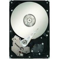 Seagate ST31000528AS