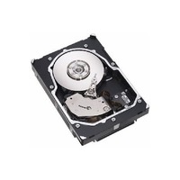 Seagate ST3146954FC