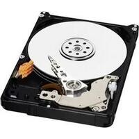 Seagate ST32000644NS