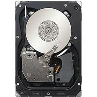 Seagate ST3300557SS