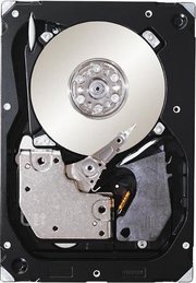 Seagate ST3300656SS фото