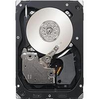 Seagate ST3300657FC