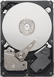 Seagate ST3500312CS фото