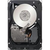 Seagate ST3600057SS