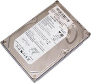 Seagate ST3808110AS фото