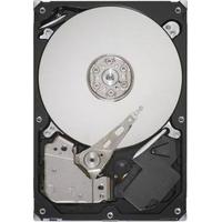 Seagate ST500DM005