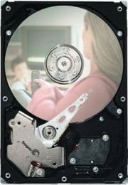 Seagate ST500VM000 фото