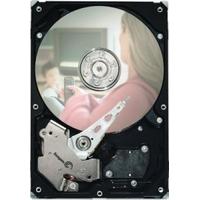 Seagate ST500VM000