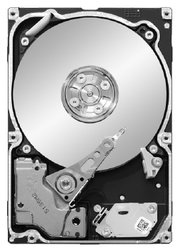 Seagate ST91000640SS фото