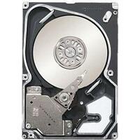 Seagate ST9146803SS