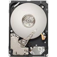 Seagate ST9600204SS