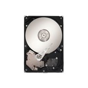 Seagate SV35.2 ST3160815AV 160 GB фото